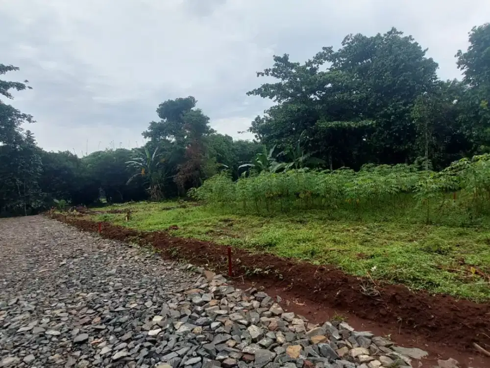 1 Jutaan Kavling SHM Setu, Bekasi. Dekat Tol Cimanggis-Cibitung. Bisa Cicil