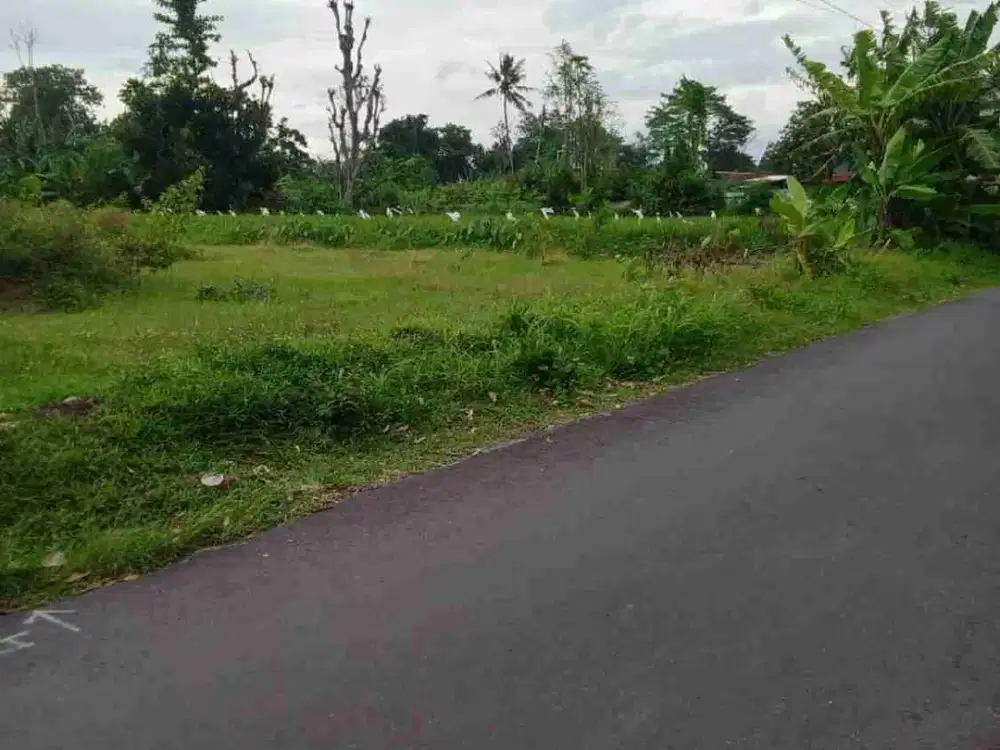 Tanah Sawah DIJUAL di Maguwoharjo, Depok Sleman, Yogyakarta