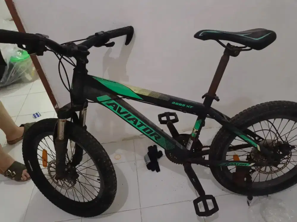 Dijual cepat sepeda aviator 24 inch