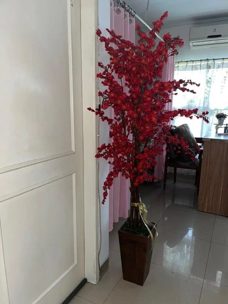 Sakura Lotus Flower Tree/ pohon hias sakura