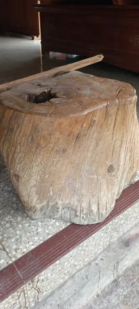 Bonggol tunggak akar stool kayu jati alas lawas
