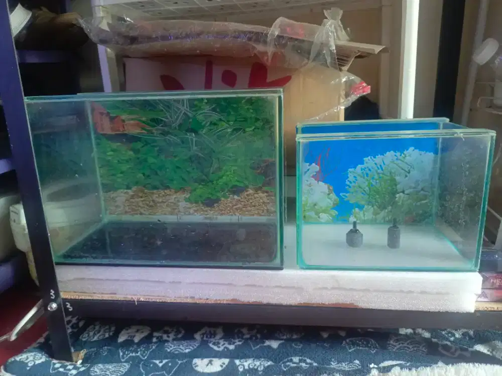 Akuarium, Airator dan Lampu Kandila