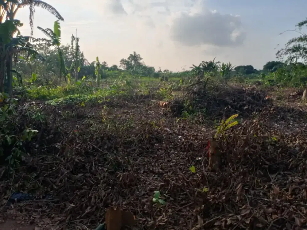 Spesial Promo Murah Tanah Kavling 10 Menit Stasiun Jatake