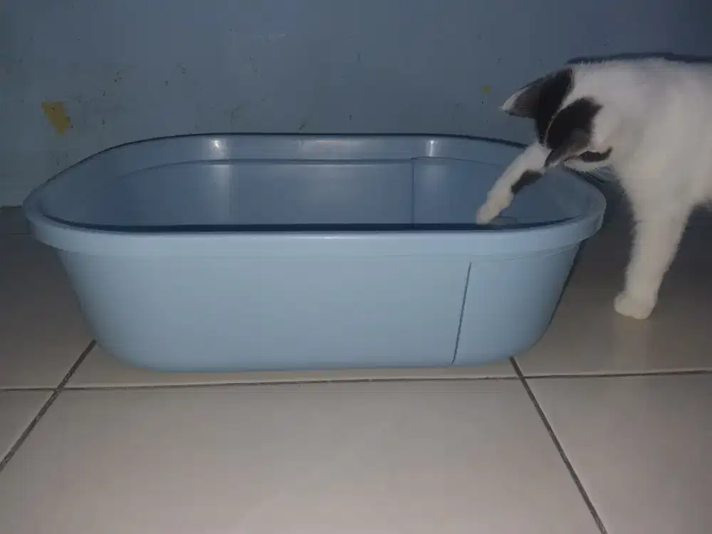 TOILET BOX KUCING PLASTIK TERTUTUP MERK PET KINGDOM