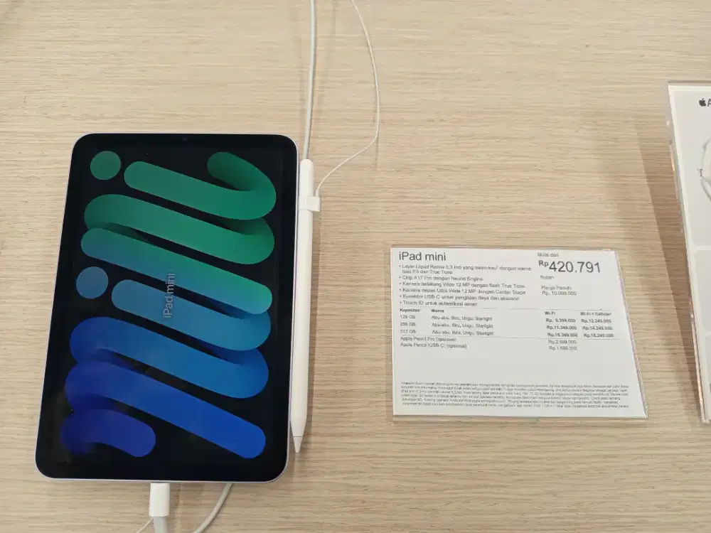 ipad mini ready cash dan cicilan