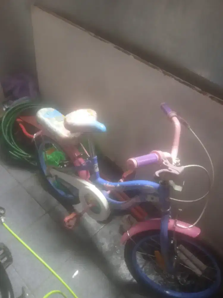 Sepedah anak win cycle