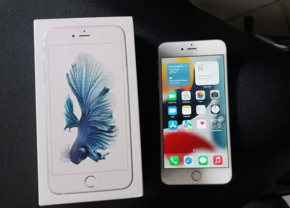 Iphone 6s Plus 64GB