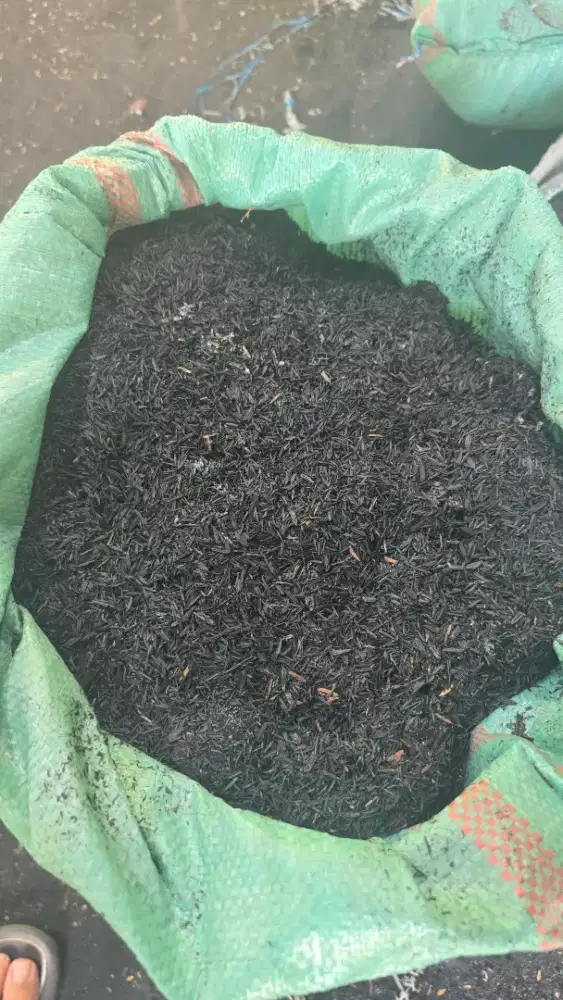 Arang Sekam / Sekam Bakar