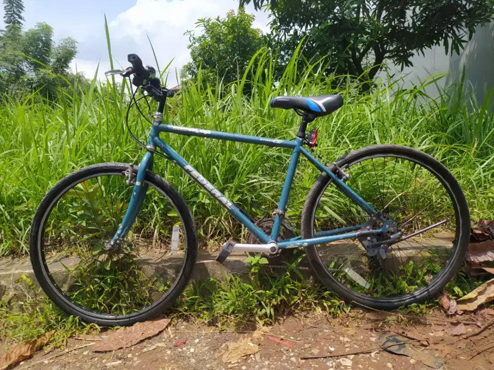 Jual Sepeda Federal Street Cat - City Bike Nyaman dan Siap Pakai