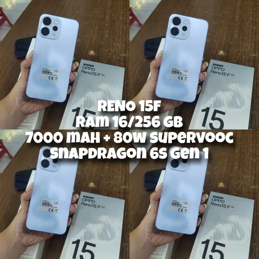 RENO 15F DISK 300 RB