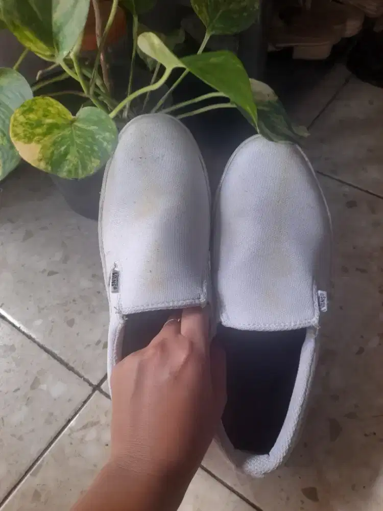 Sepatu Vans Putih No 40