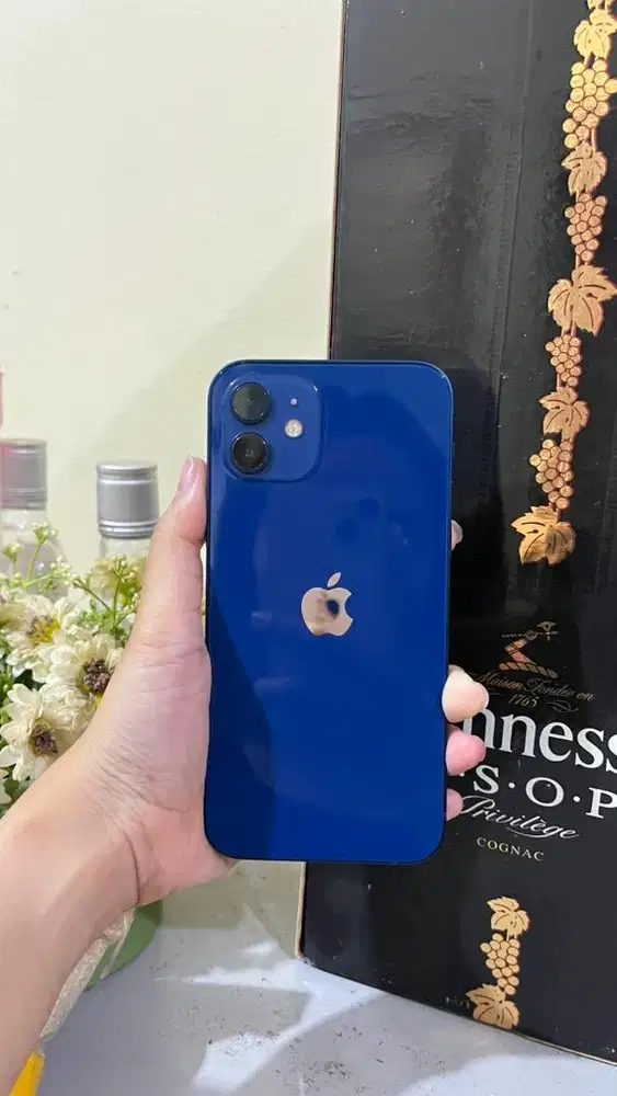 Iphone 12 64GB ex inter