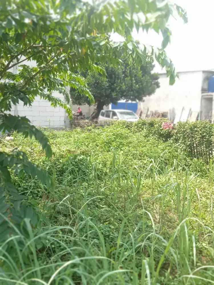 Dijual tanah 15 meter dari jalan.