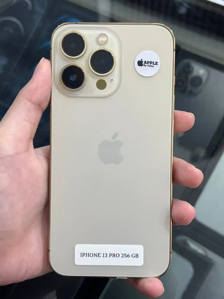 IPHONE 13 PRO 256 GB INTER