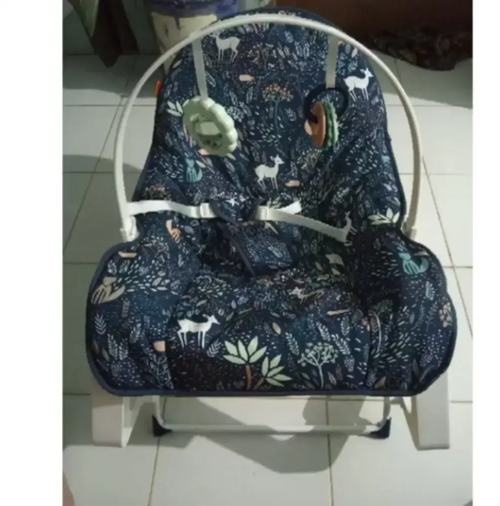 Fisher-price infant to toddler rocker