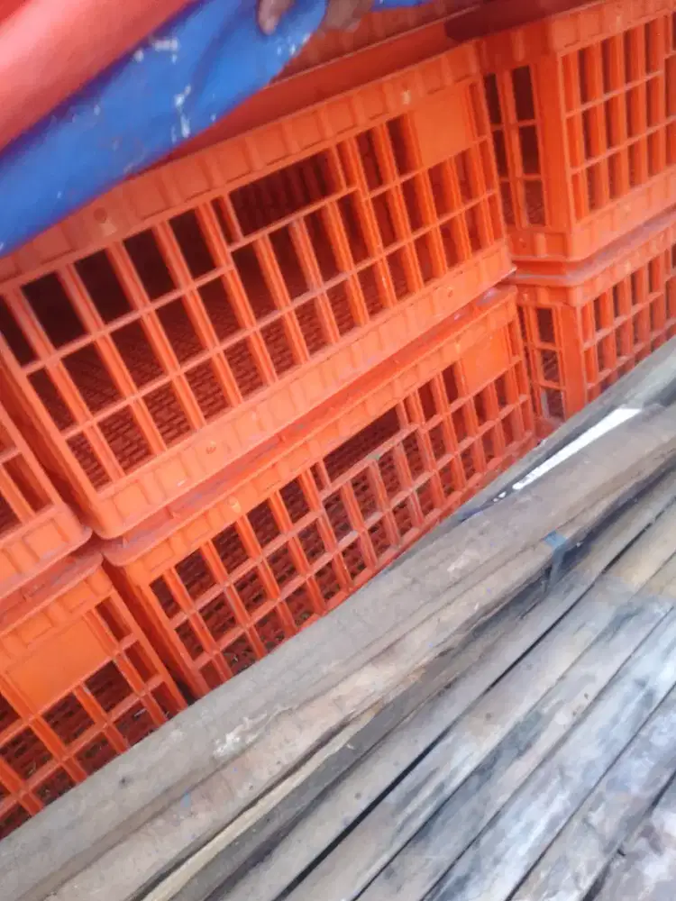 Keranjang ayam kondisi baru