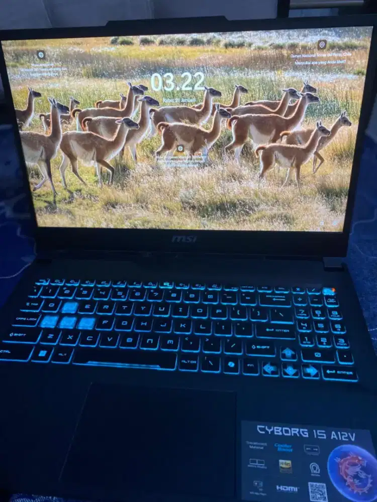 MSI Cyborg 15 A12VF.1435