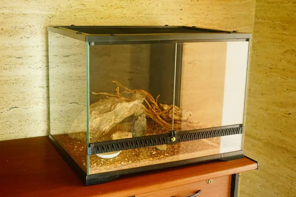 DIJUAL TERRARIUM / KANDANG REPTIL – MULUS