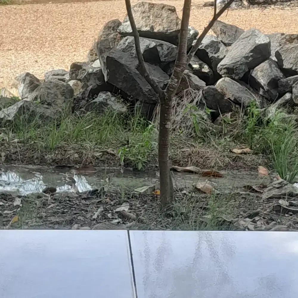 Tebas Rumput, Penyemprotan Rumput & Membersihkan Rumah