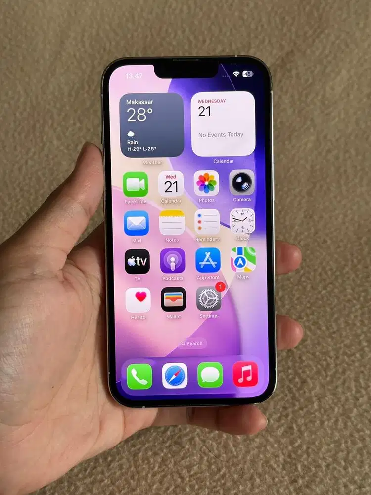 iPhone 13 Pro 256GB Silver [SECOND]