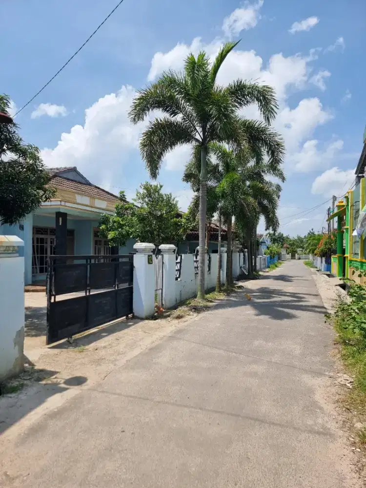 Dijual rumah dan ada kolam ikannya