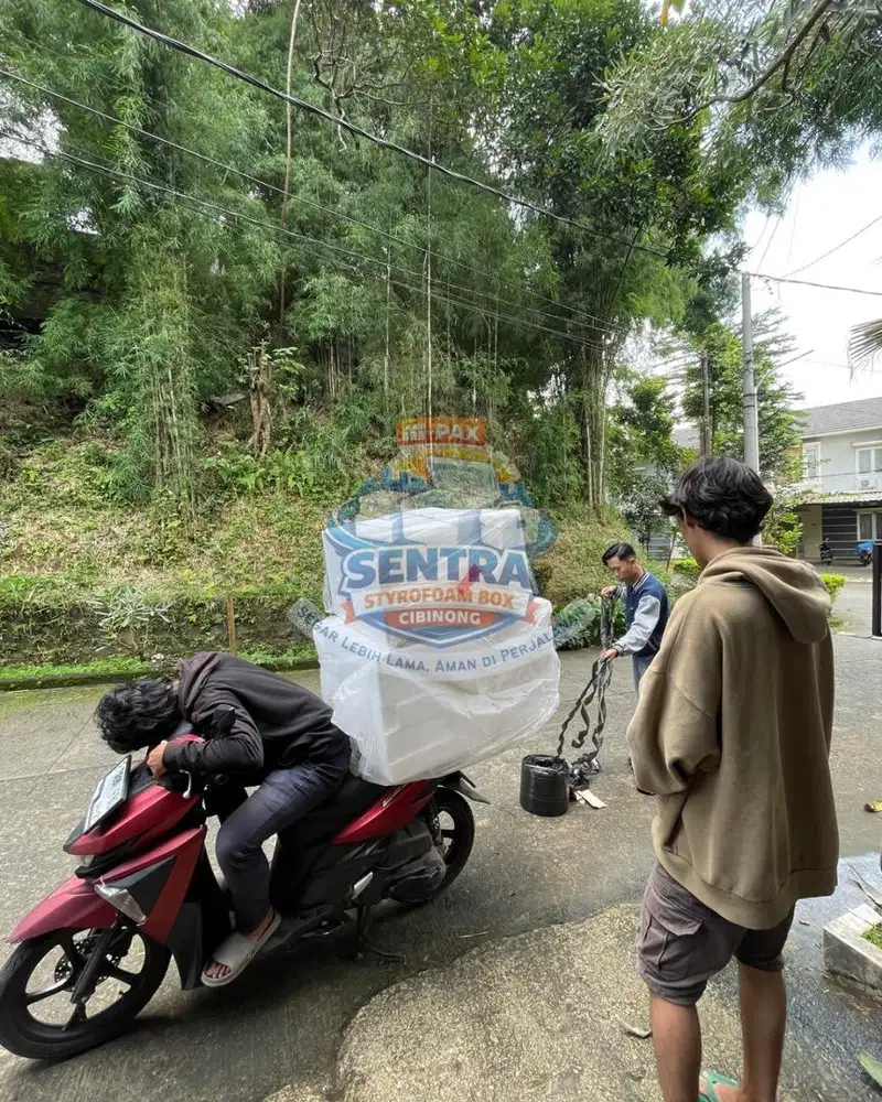 STYROFOAM BOX BARU SIAP KIRIM