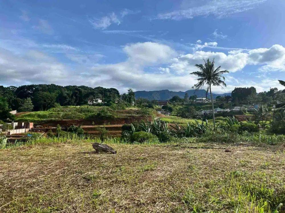 Tanah 1000 meter di puncak bogor dekat taman safari