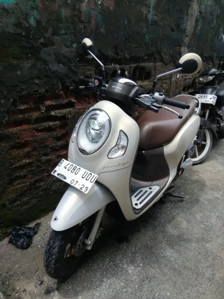 Honda scoopy prestige 2024
