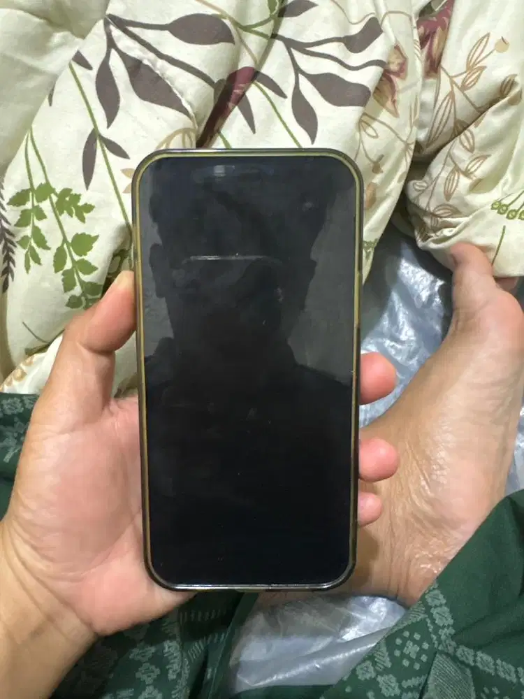 Jual Iphone 12 pro 256GB