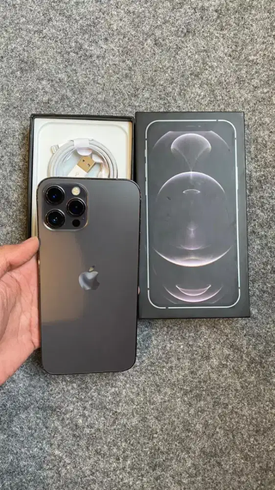 IPHONE 12 PM 256 GB INTER