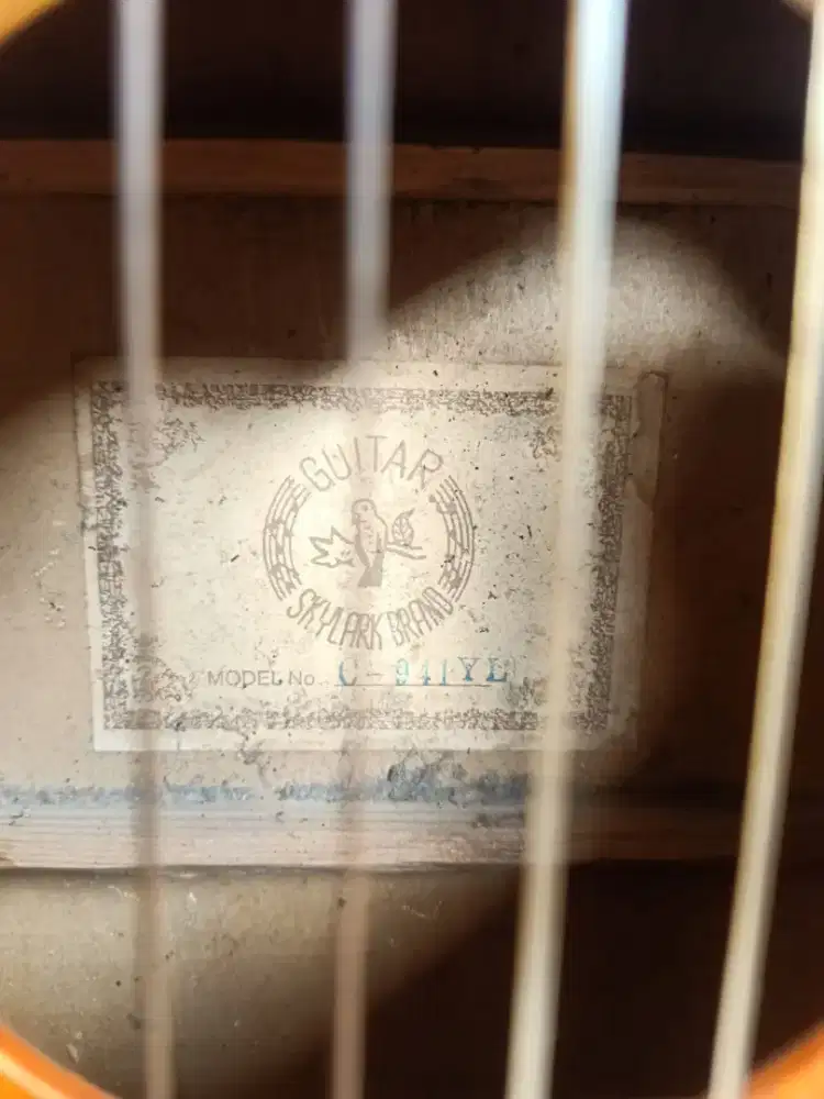 Gitar Skylark Guitar