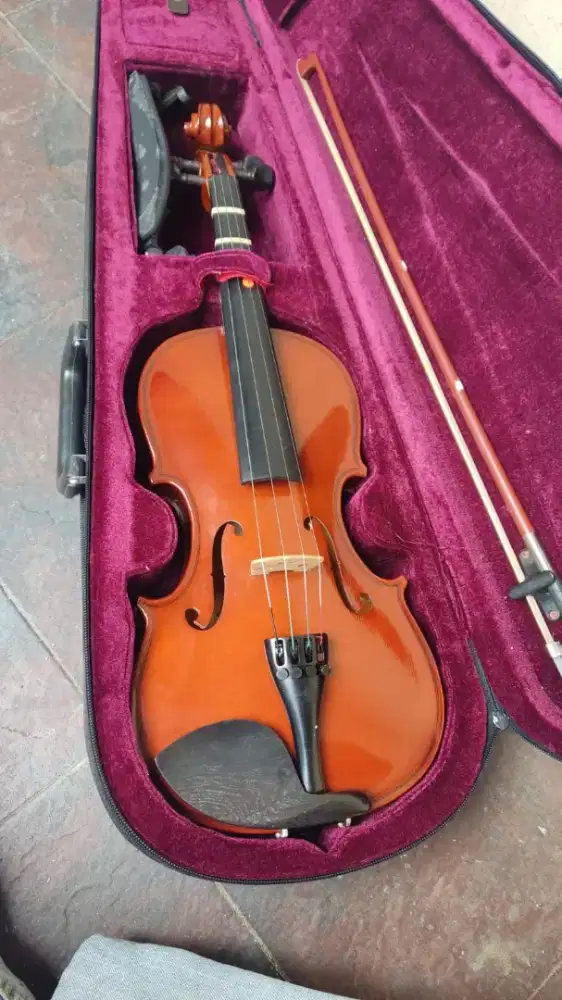 Jual aja biola Alfred stingh by hofner