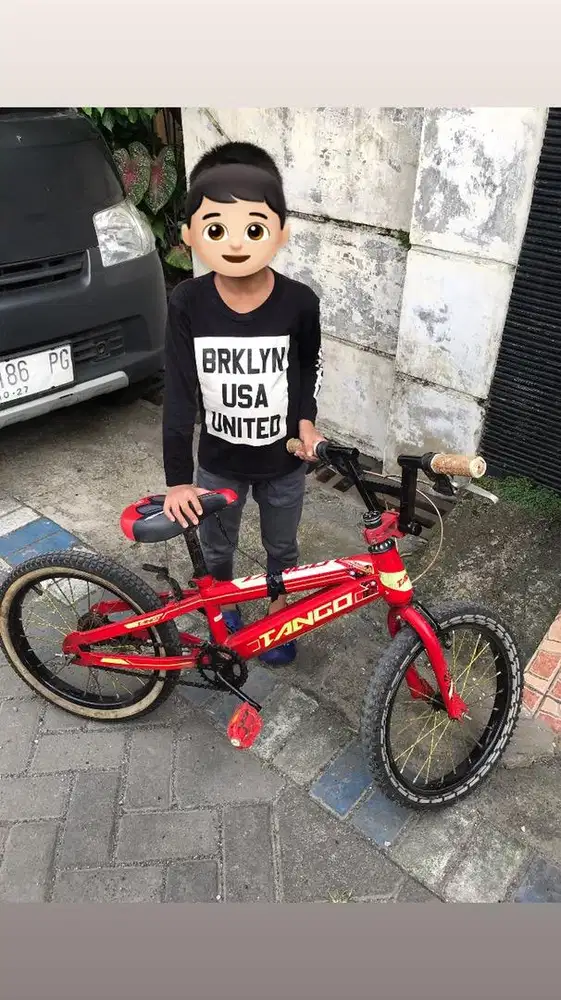 Sepeda Anak 16 inch Murah