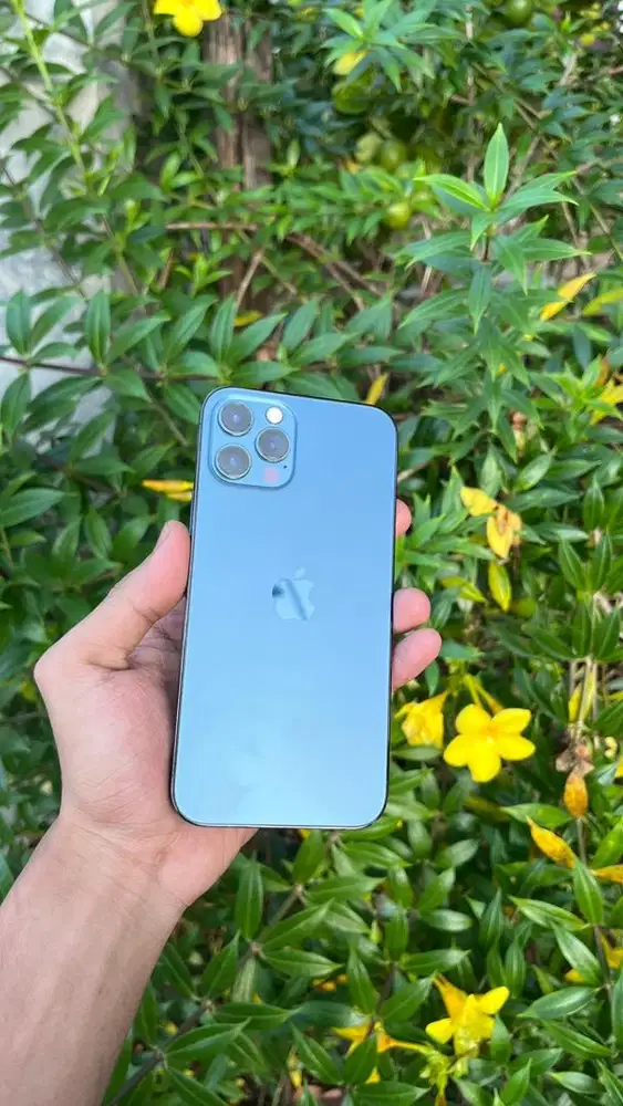 iPhone 12 pro 128gb fullset