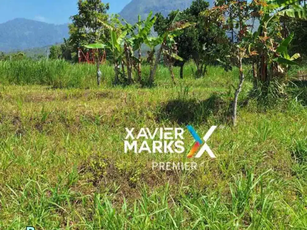 Tanah View Cakep Gunung dan kota di Panderman Batu Malang