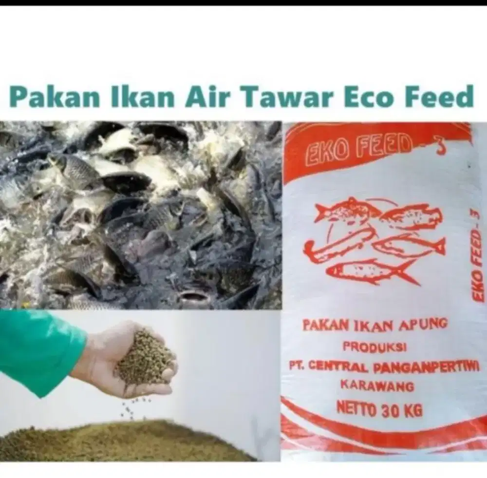 Pelet ikan Eco Feed Murah 20kg