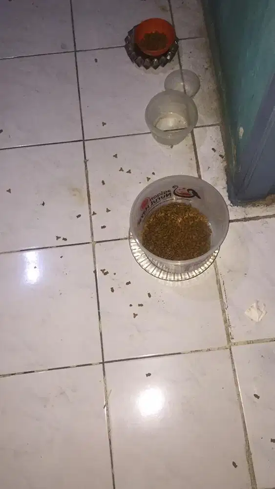 Dijual iphone 7 128gb