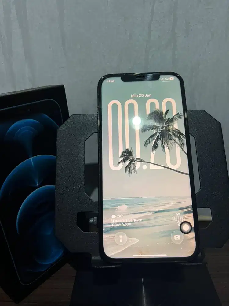 Iphone 12 Pro Max 256 GB Inter