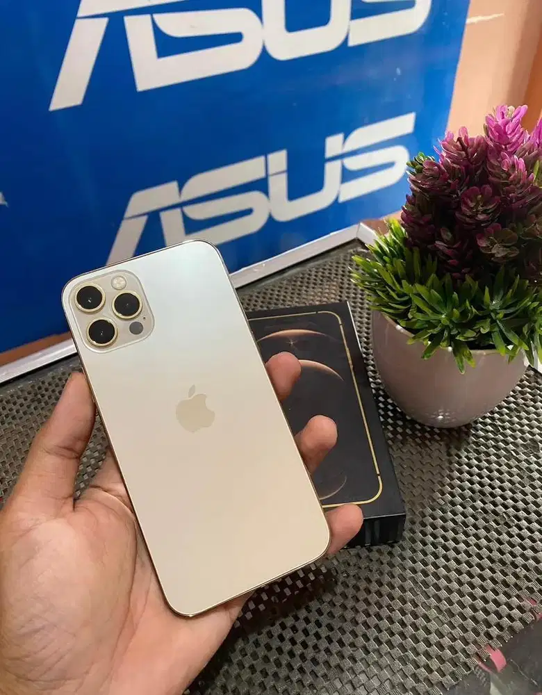 Jual Hp Iphone Inter 12Pro 256Gb