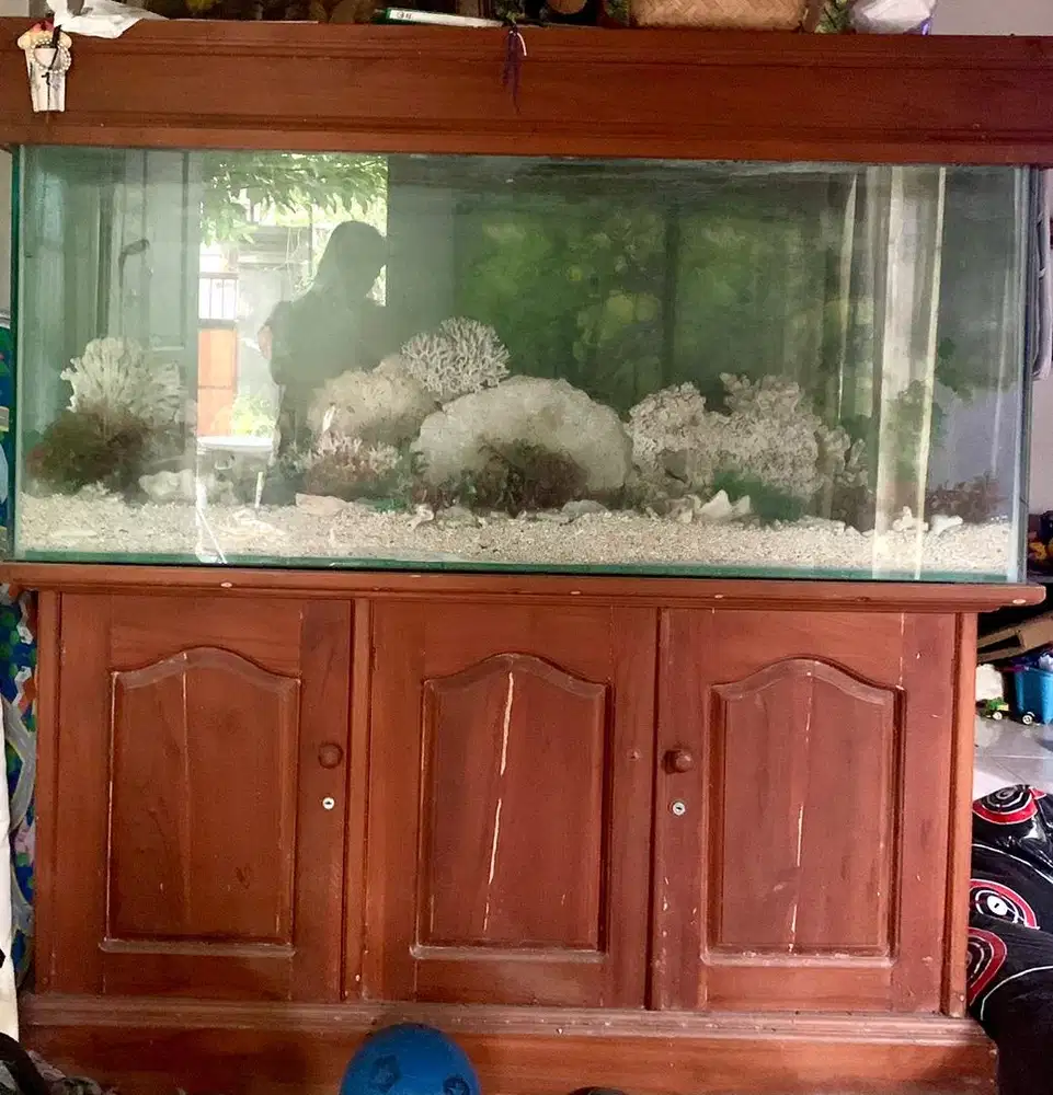 Jual murah akuarium ukuran jumbo
