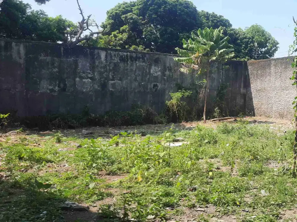 Di sewakan pekarangan 400 m2 pinggir jalan Grogol