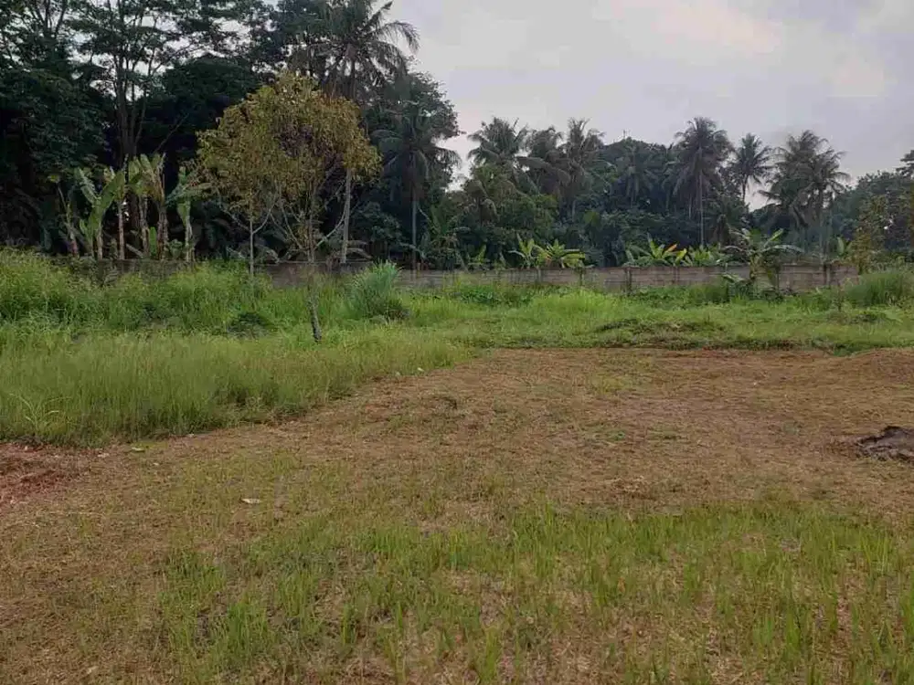 Kavling Tanah Desa Cidokom Gunung Sindur Bogor SHM 1 Jt/m2