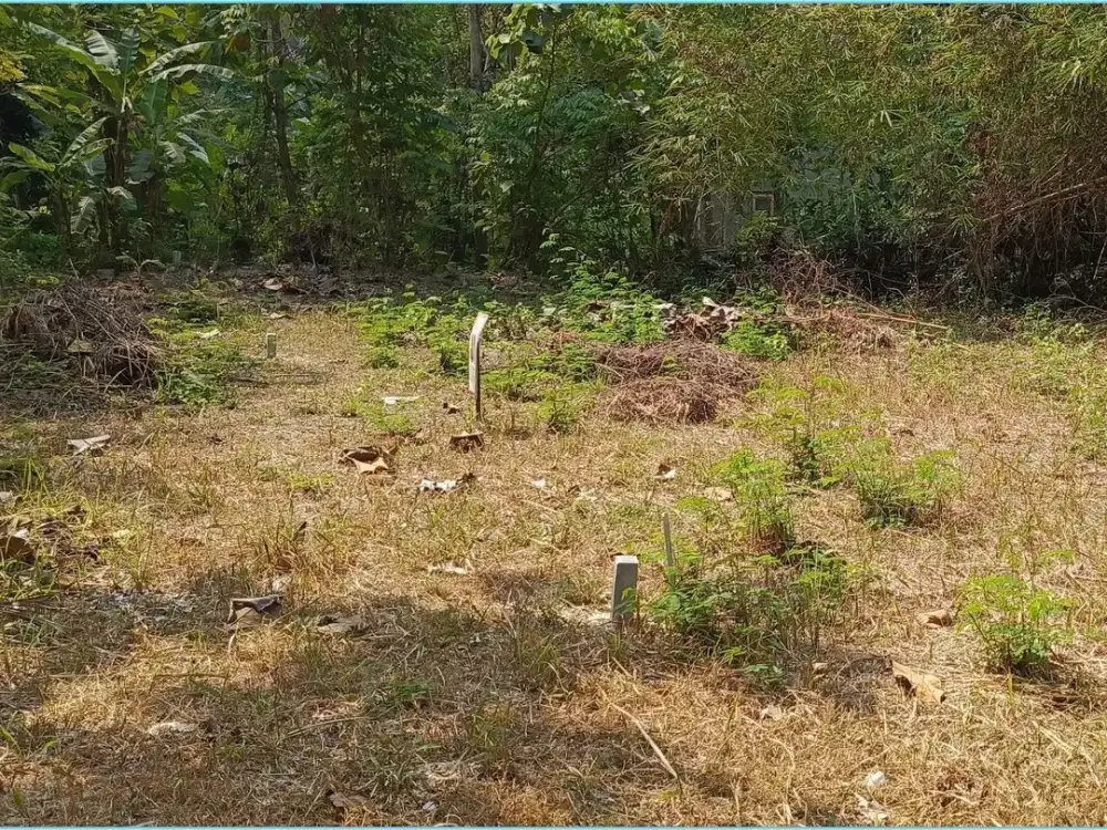 TANAH SHM JOGJA DALAM PERUMAHAN DI BANGUNJIWO BANTUL