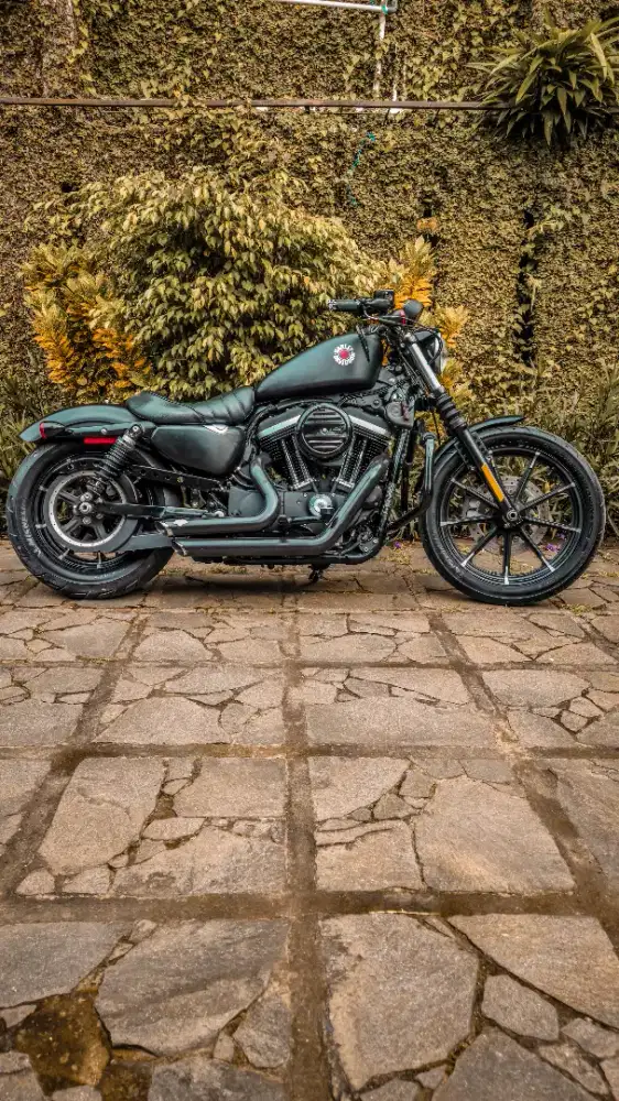 Sportster iron 883