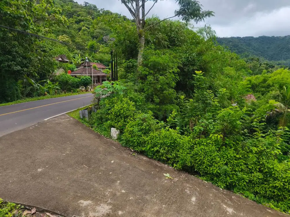 Jual tanah pinggir jalan raya provinsi