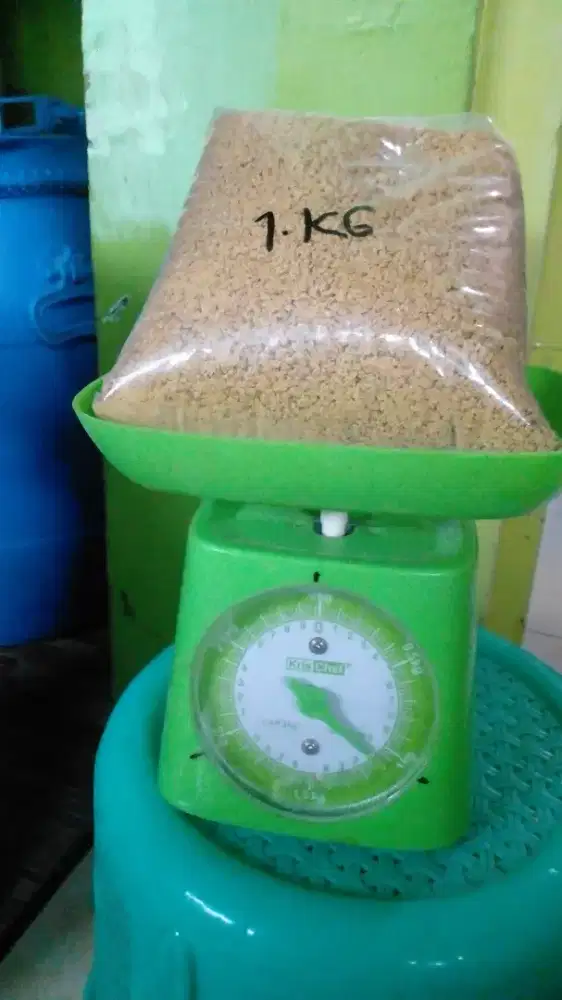 Poor ayam pertumbuhan