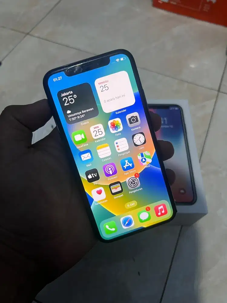 Iphone X 256 GB