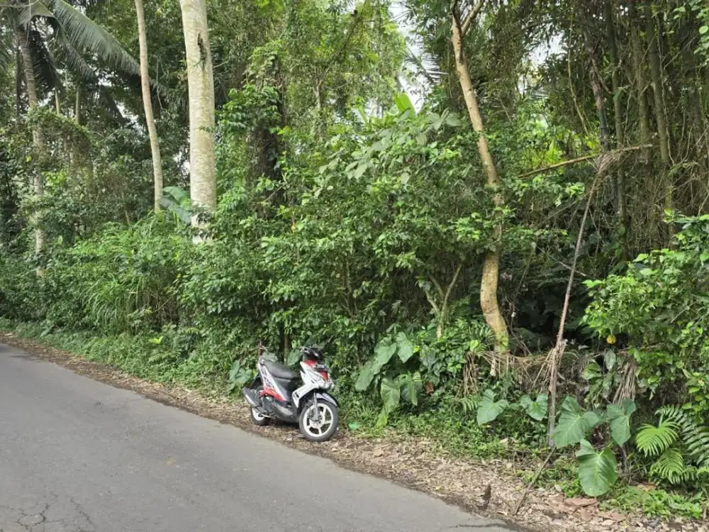 Dijual lahan bagus di tirta tawar ubud 5 menit ke central ubud