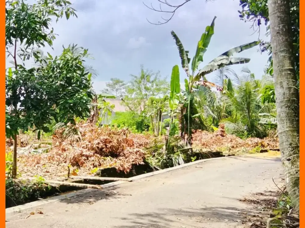 Tanah Jogja Area Barat Jl Palagan km14 Dekat Kadilobo Resort