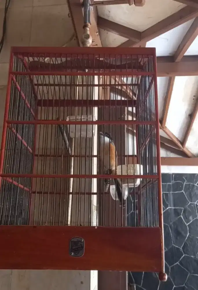 Pentet jatim gacor fullset isian banyak